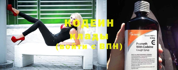 дмт Гусев