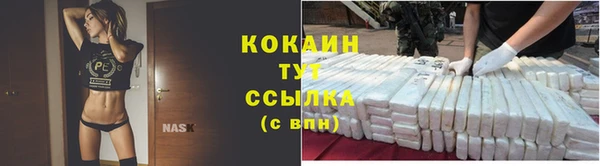 прущая мука Горняк
