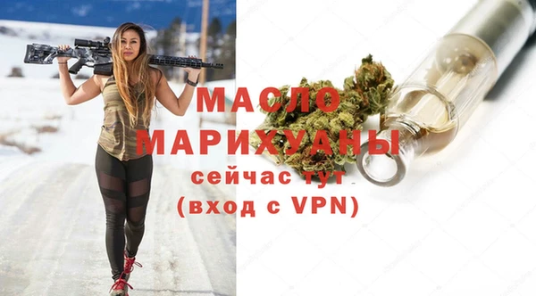 дмт Гусев