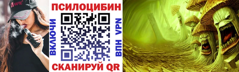 Купить закладки  Камень-на-Оби  Псилоцибиновые грибы мухоморы 
